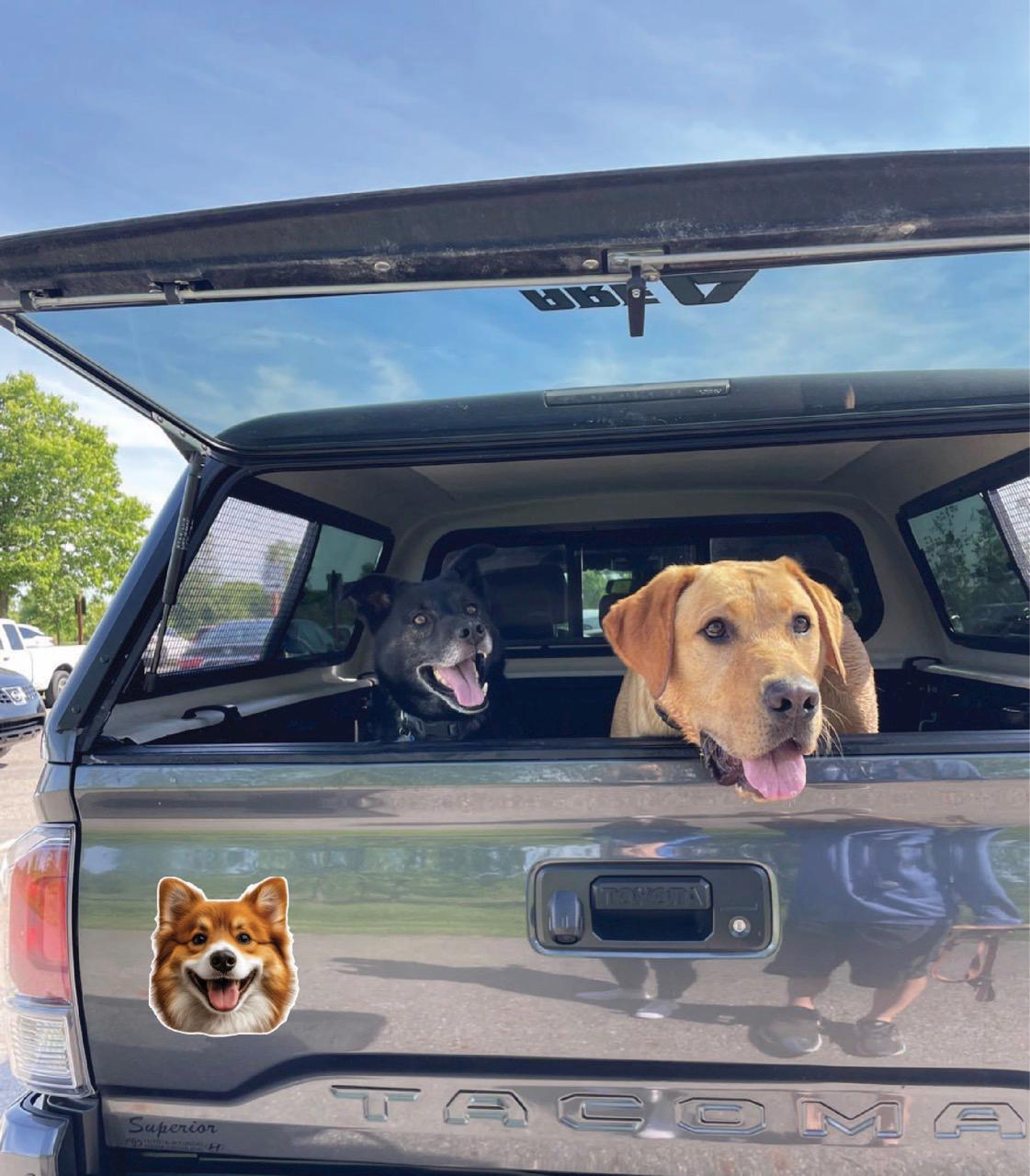 Custom Dog Face Reflective Vinyl Decal | Waterproof Pet Sticker