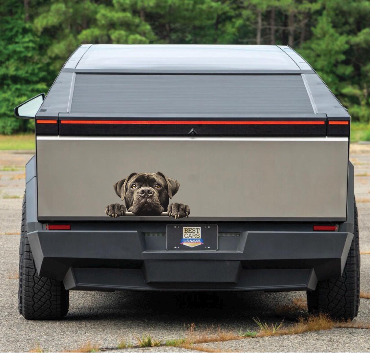 Peeking Dog Vinyl Decal | Waterproof Car Sticker for Dog Lovers