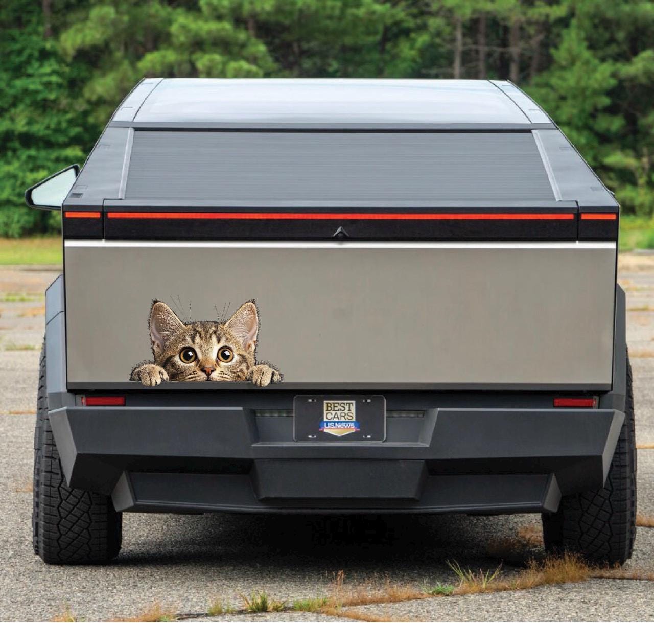 Peeking Cat Car Decal - Waterproof Vinyl Sticker for Laptops, Windows, Bumpers - UV-Resistant & Weatherproof - Made in Canada